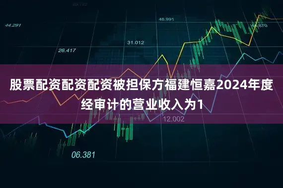 股票配资配资配资被担保方福建恒嘉2024年度经审计的营业收入为1